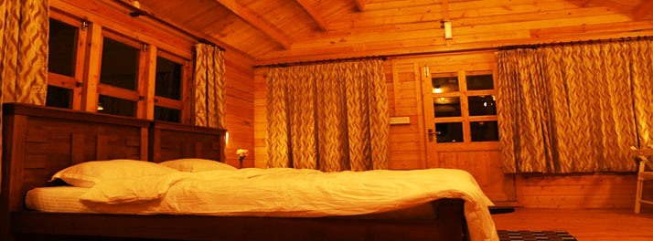 1389/Rainforest Resort - Munnar 06.jpg